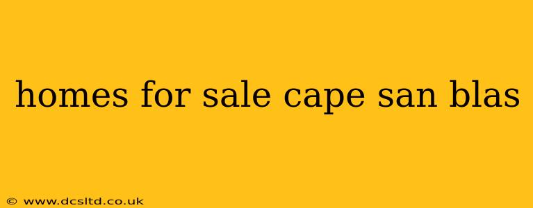 homes for sale cape san blas