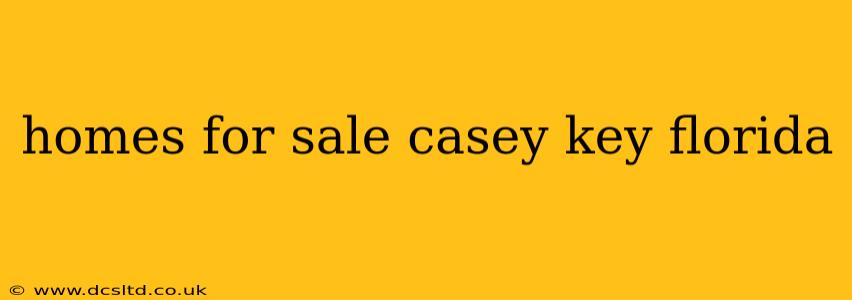 homes for sale casey key florida