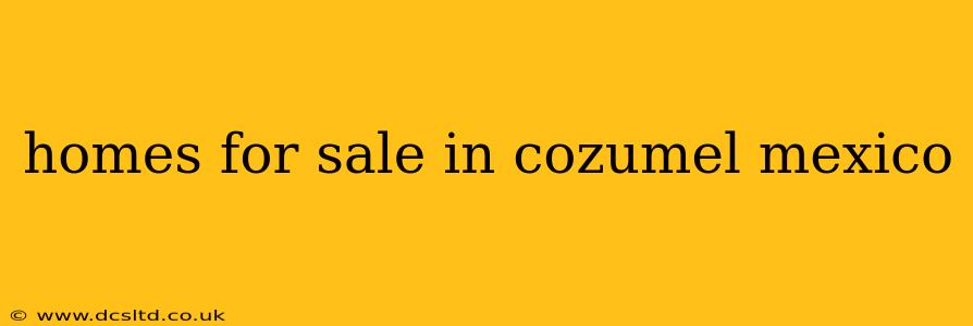 homes for sale in cozumel mexico