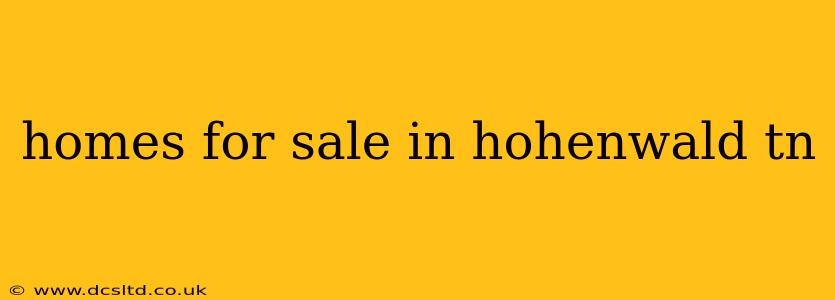 homes for sale in hohenwald tn