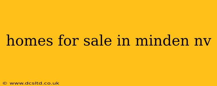 homes for sale in minden nv
