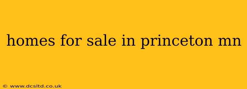 homes for sale in princeton mn