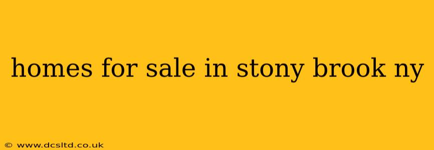 homes for sale in stony brook ny