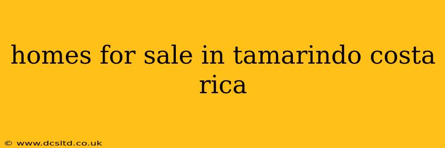 homes for sale in tamarindo costa rica