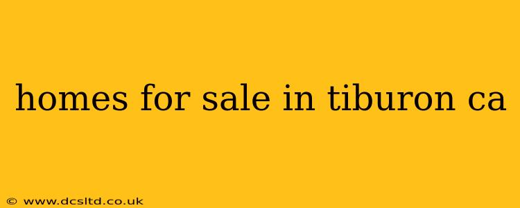 homes for sale in tiburon ca