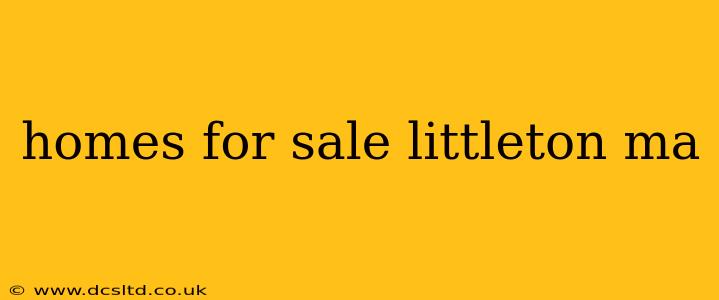 homes for sale littleton ma