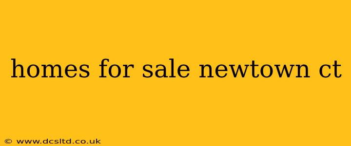 homes for sale newtown ct