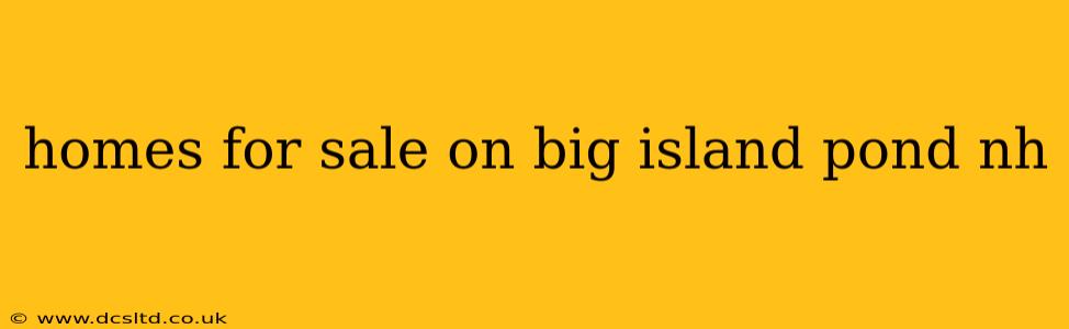 homes for sale on big island pond nh
