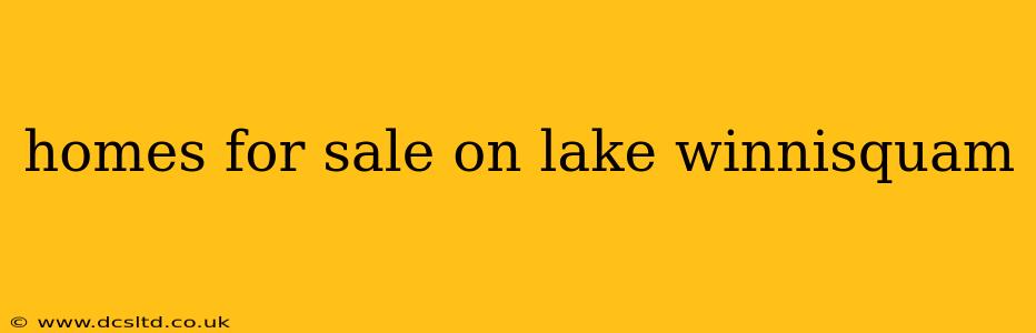 homes for sale on lake winnisquam