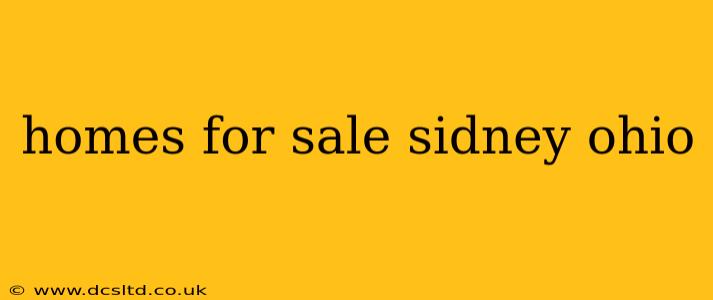 homes for sale sidney ohio