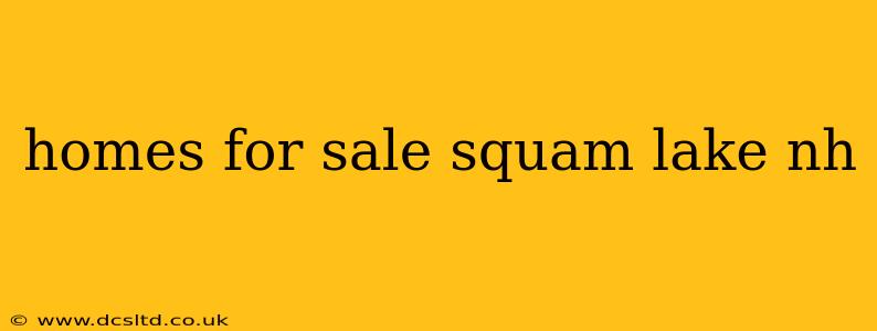 homes for sale squam lake nh