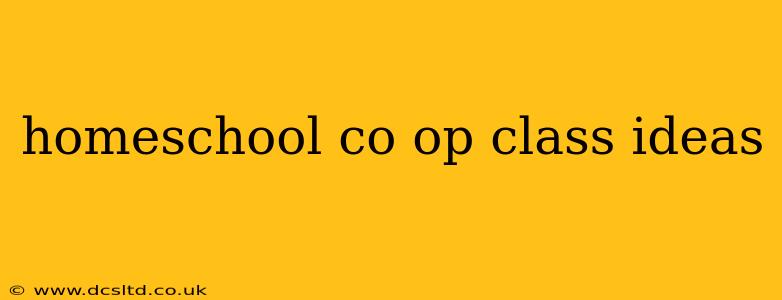 homeschool co op class ideas