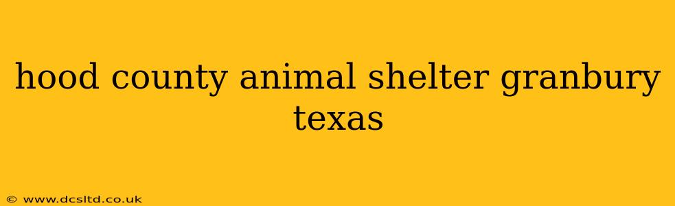 hood county animal shelter granbury texas