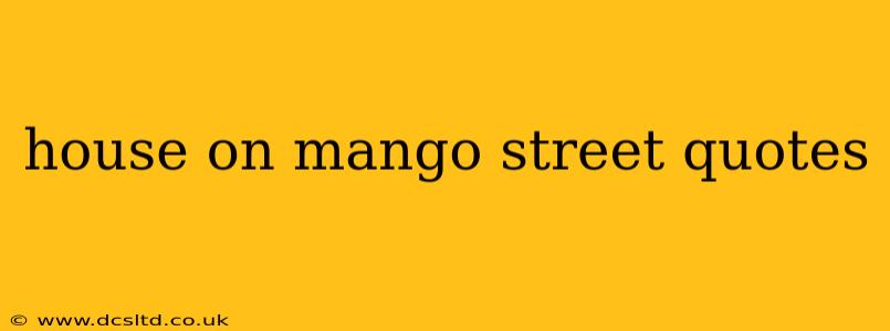 house on mango street quotes