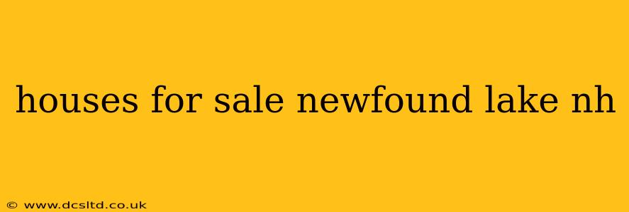 houses for sale newfound lake nh
