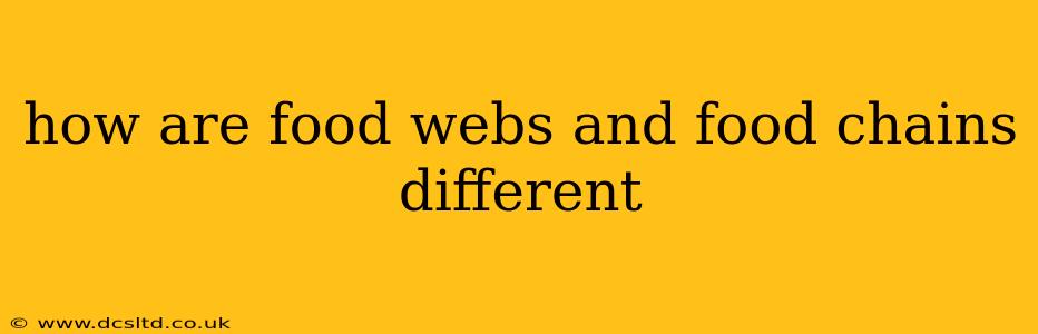 how are food webs and food chains different