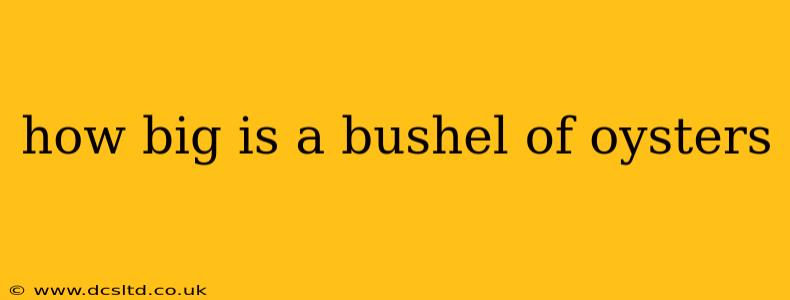 how big is a bushel of oysters