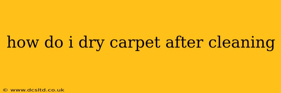 how do i dry carpet after cleaning