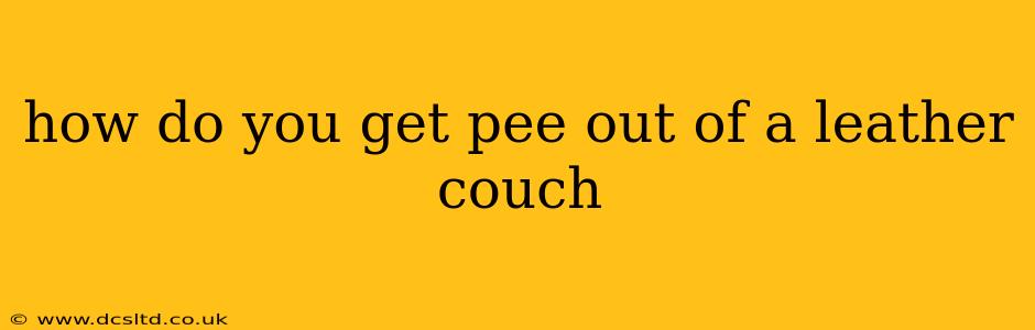 how do you get pee out of a leather couch