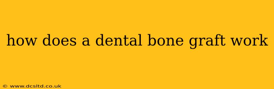 how does a dental bone graft work