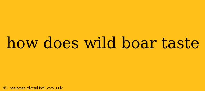 how does wild boar taste