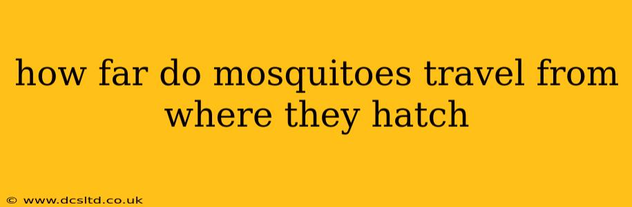 how far do mosquitoes travel from where they hatch