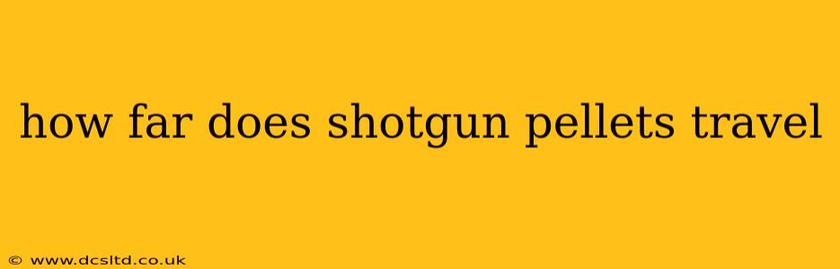 how far does shotgun pellets travel