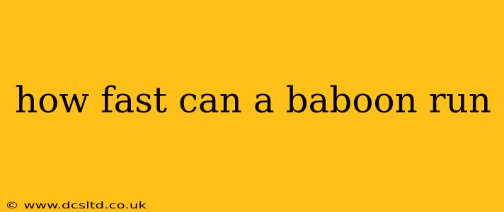 how fast can a baboon run