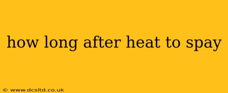 how long after heat to spay