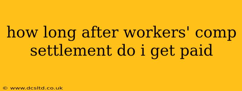 how long after workers' comp settlement do i get paid
