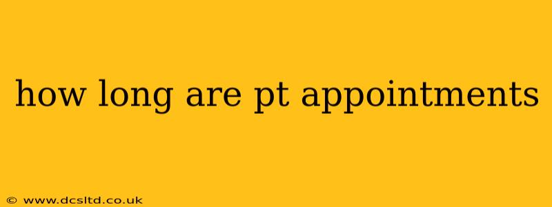 how long are pt appointments