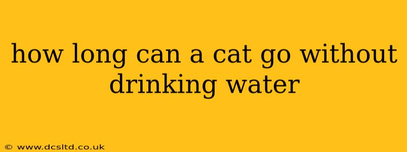 how long can a cat go without drinking water
