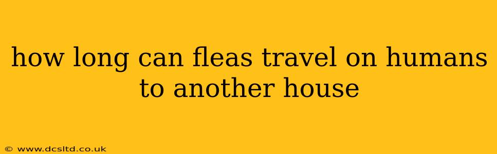 how long can fleas travel on humans to another house
