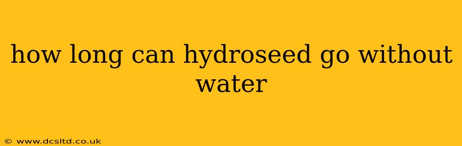 how long can hydroseed go without water