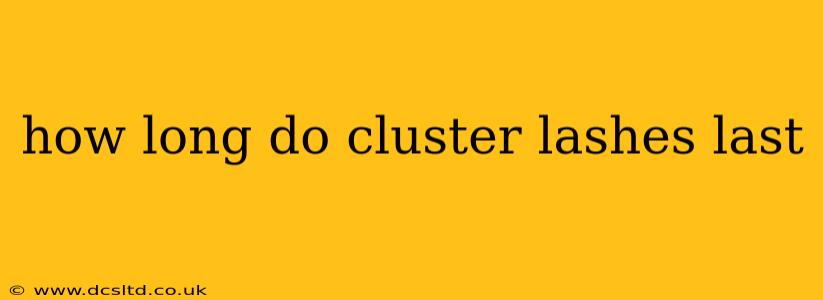 how long do cluster lashes last