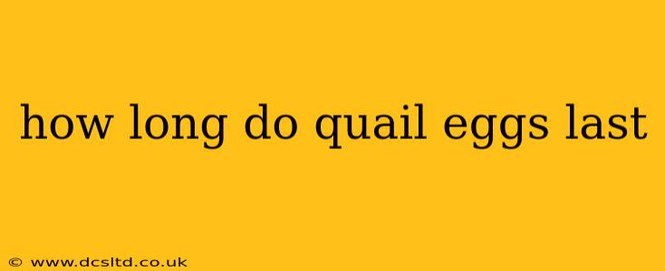 how long do quail eggs last