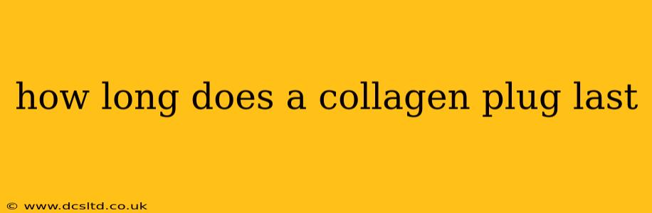 how long does a collagen plug last