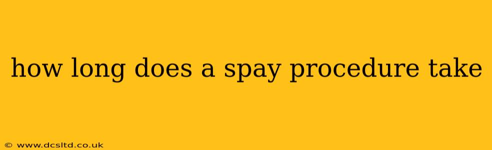 how long does a spay procedure take