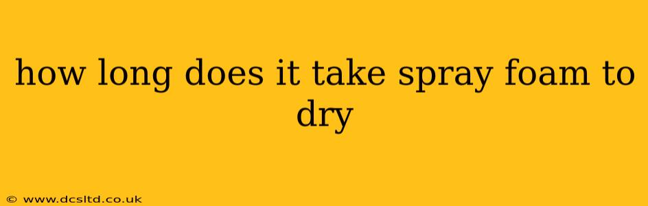 how long does it take spray foam to dry