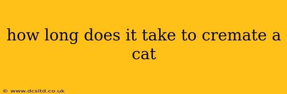 how long does it take to cremate a cat