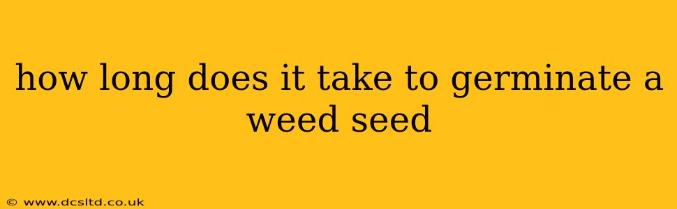 how long does it take to germinate a weed seed