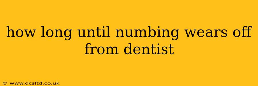 how long until numbing wears off from dentist