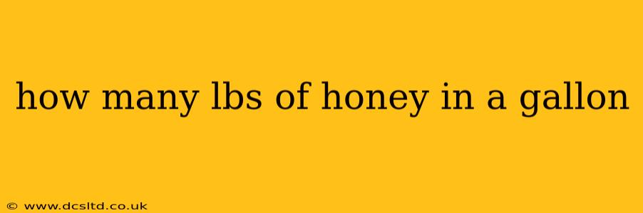 how many lbs of honey in a gallon