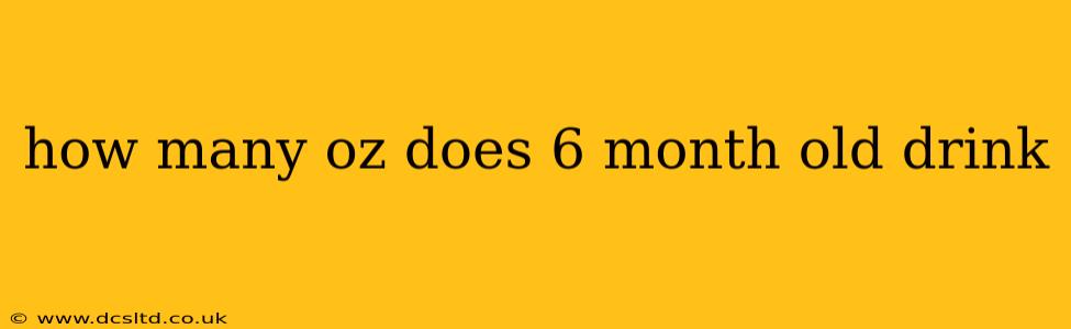 how many oz does 6 month old drink