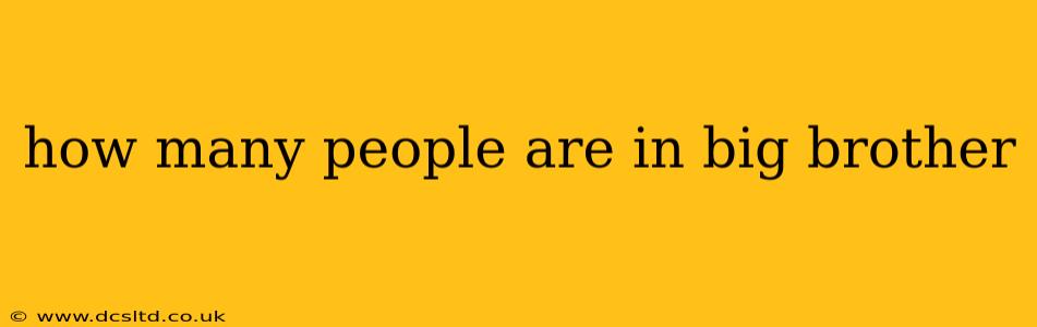 how many people are in big brother