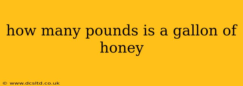 how many pounds is a gallon of honey