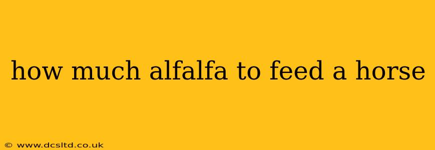 how much alfalfa to feed a horse