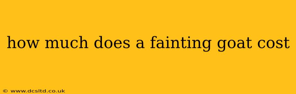 how much does a fainting goat cost