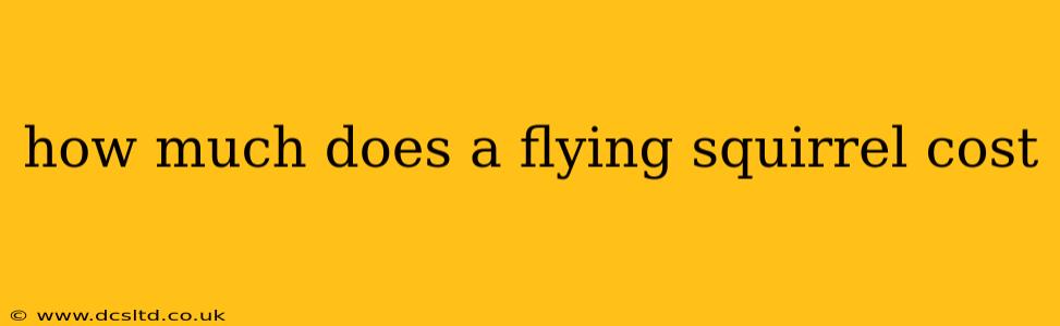 how much does a flying squirrel cost