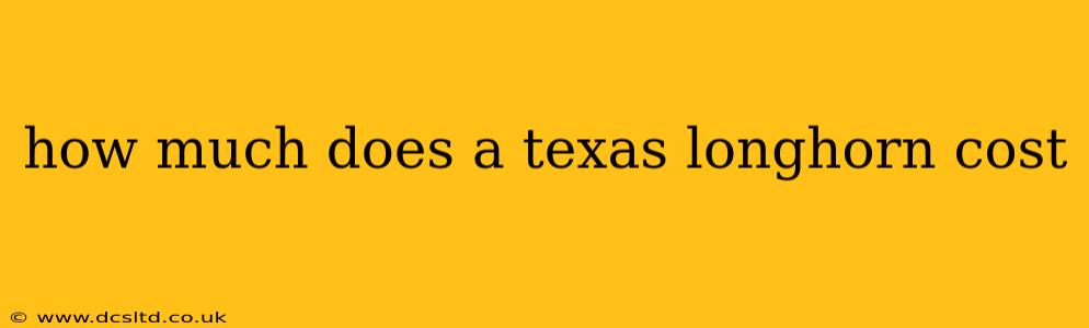 how much does a texas longhorn cost